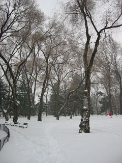IMG_0943.JPG