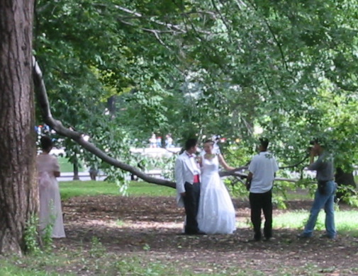 IMG_1226.JPG